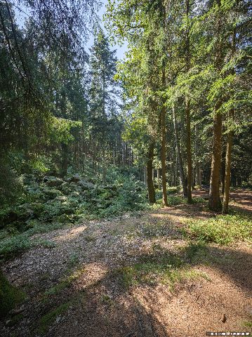 Gemeinde Triftern Landkreis Rottal-Inn Voglarn Kaser Steinstuben (Dirschl Johann) Deutschland PAN